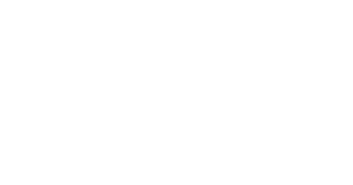 IT-WOLF